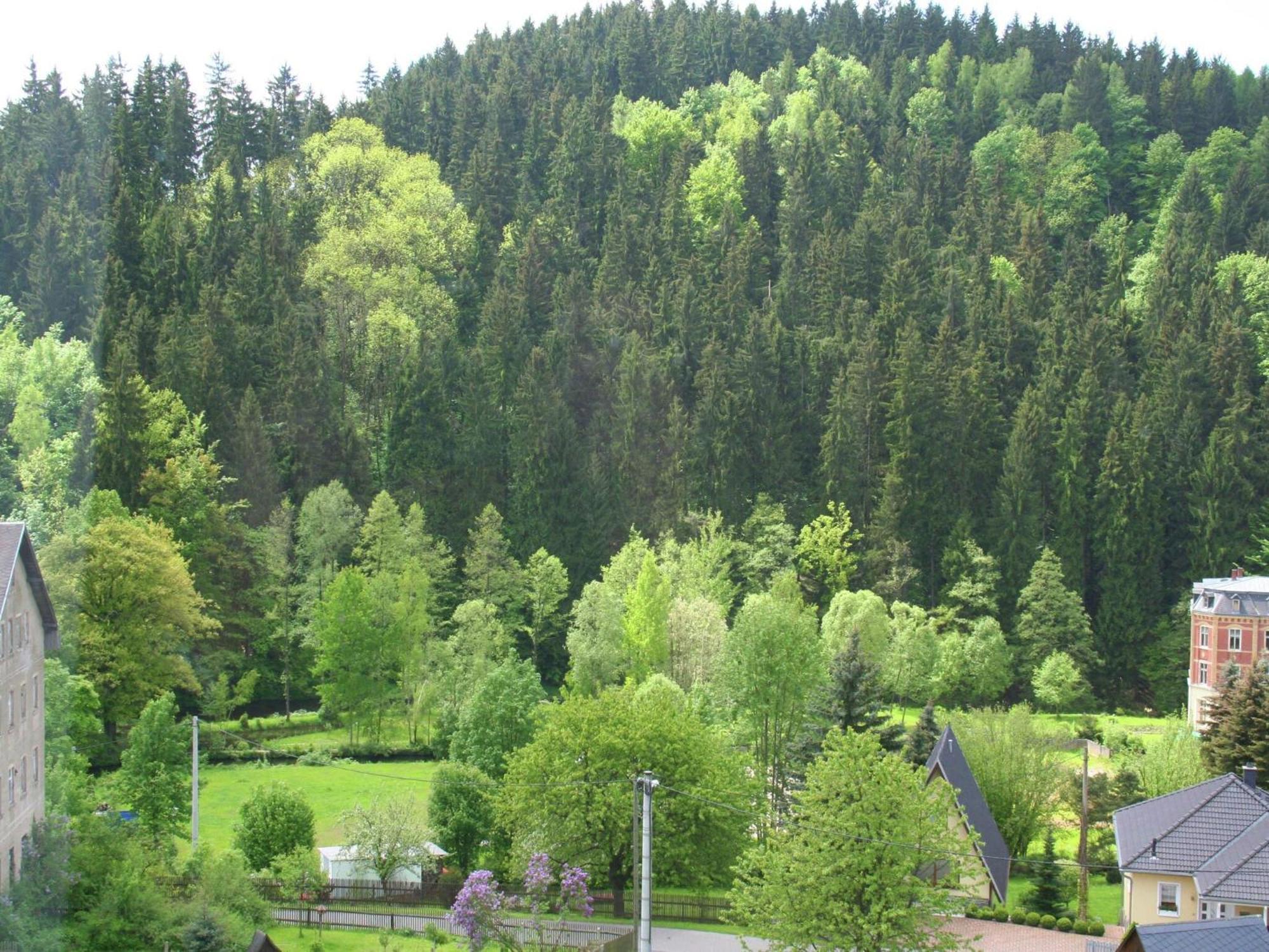 Alluring Villa In Grunhainichen Borstendorf With Garden Leubsdorf Zewnętrze zdjęcie