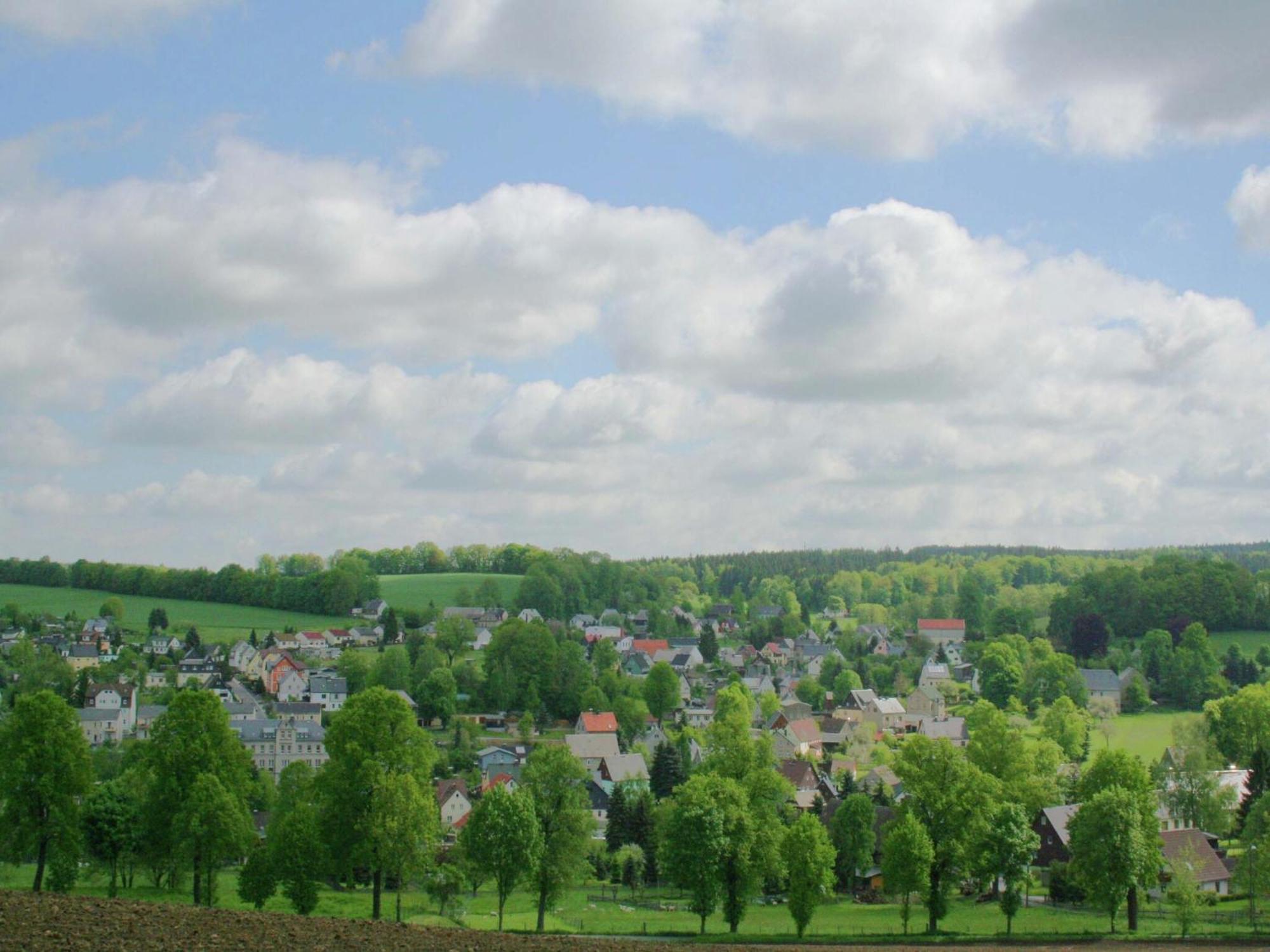 Alluring Villa In Grunhainichen Borstendorf With Garden Leubsdorf Zewnętrze zdjęcie
