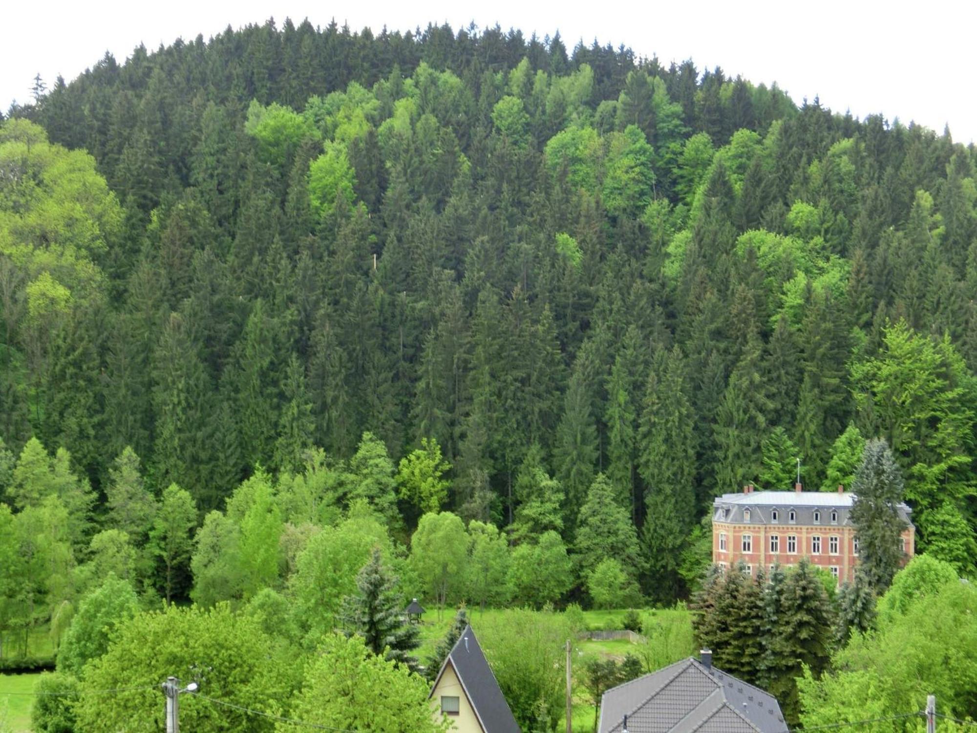 Alluring Villa In Grunhainichen Borstendorf With Garden Leubsdorf Zewnętrze zdjęcie