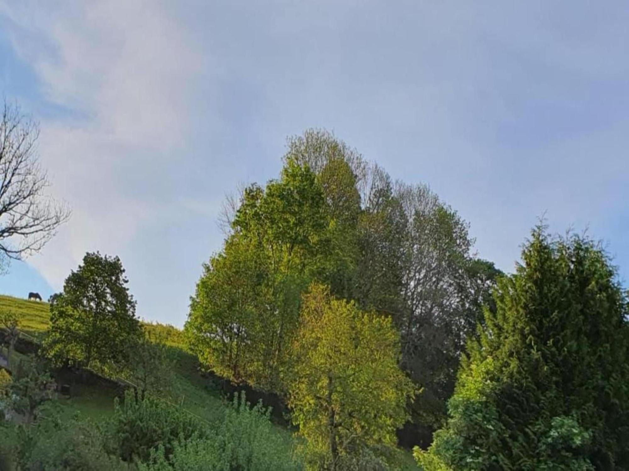 Alluring Villa In Grunhainichen Borstendorf With Garden Leubsdorf Zewnętrze zdjęcie