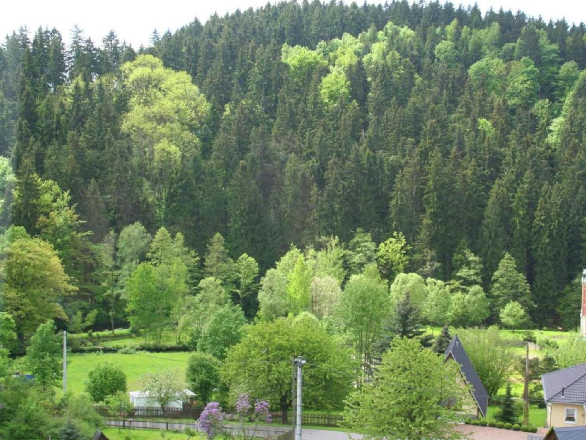 Alluring Villa In Grunhainichen Borstendorf With Garden Leubsdorf Zewnętrze zdjęcie